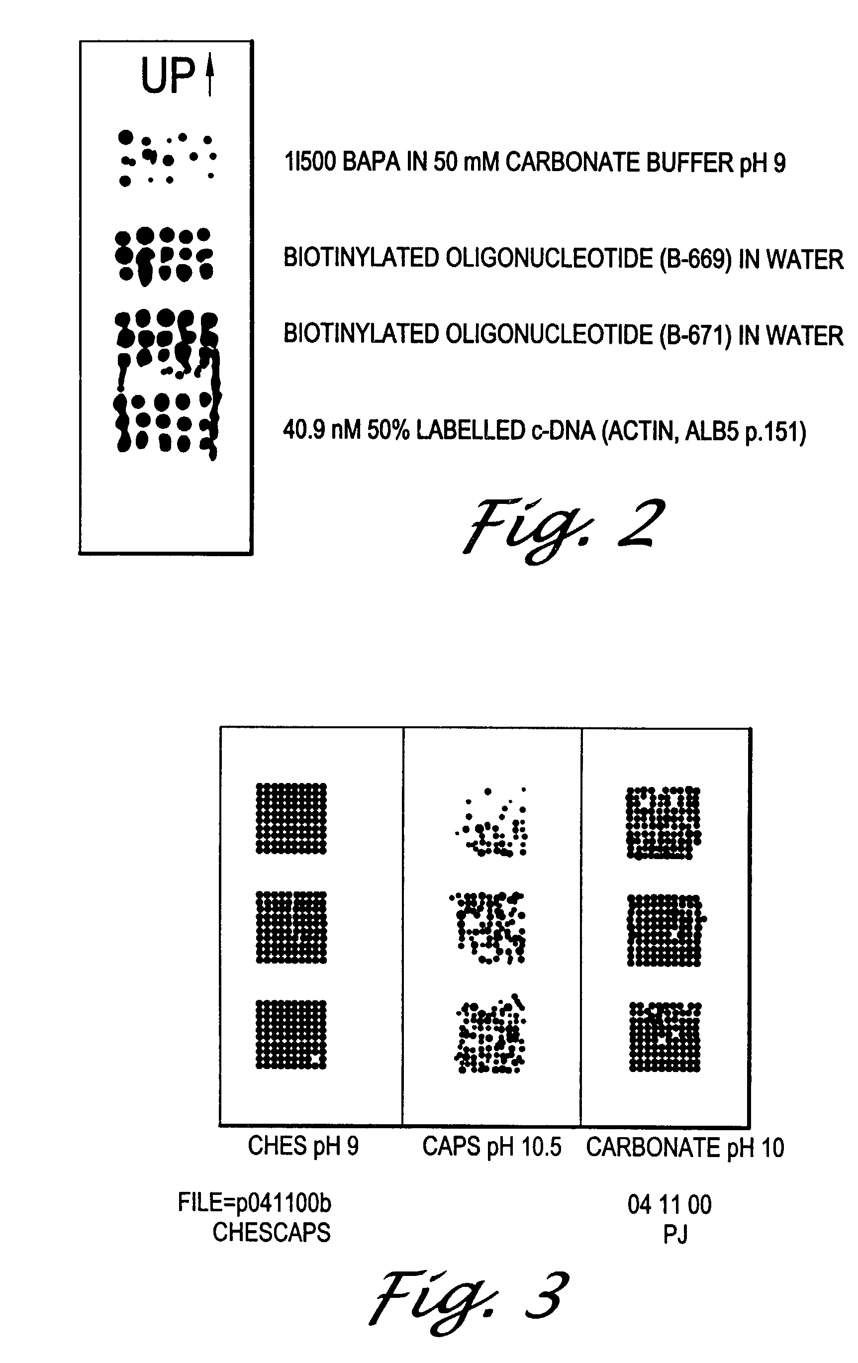 Acyl fluoride activation of carboxysilyl-coated glass substrates