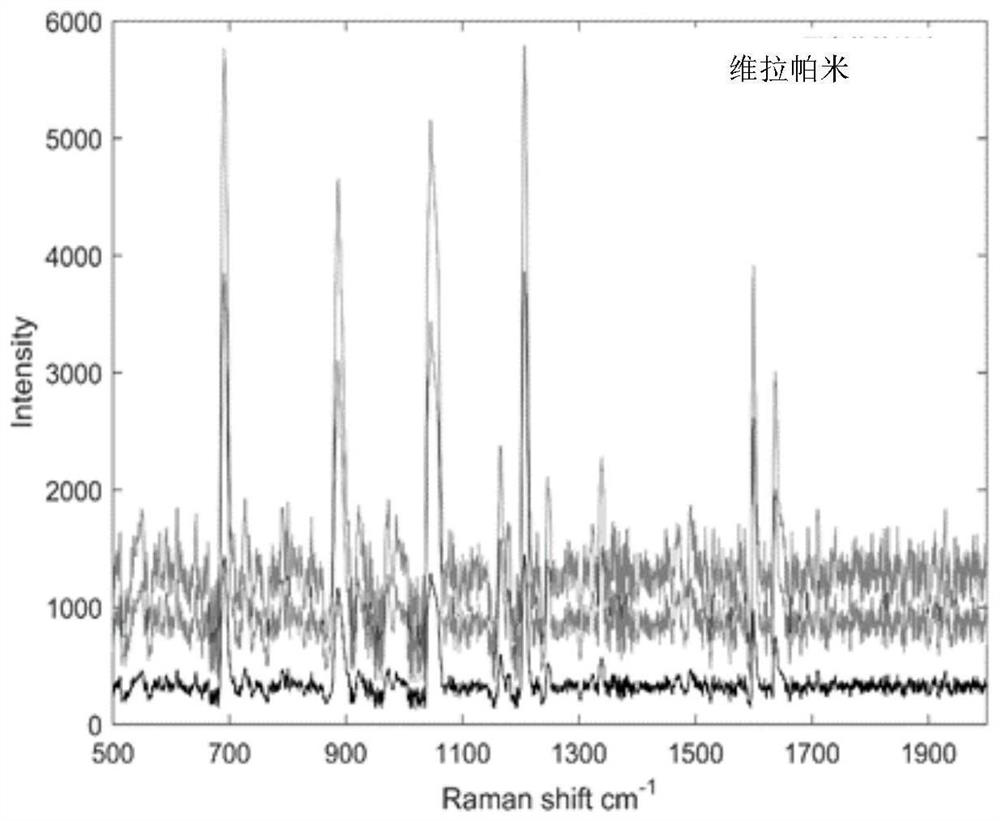 Multi-drug resistance inhibitor screening method based on Raman spectrum