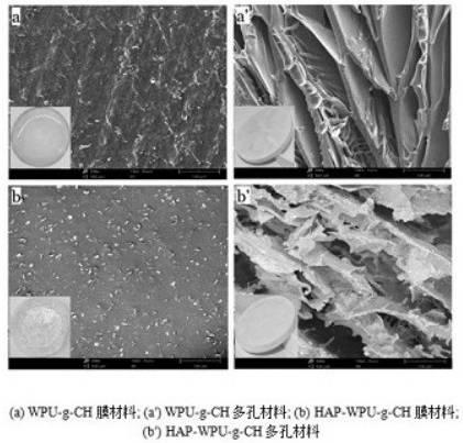 A kind of preparation method of waterborne polyurethane/collagen/hydroxyapatite composite material