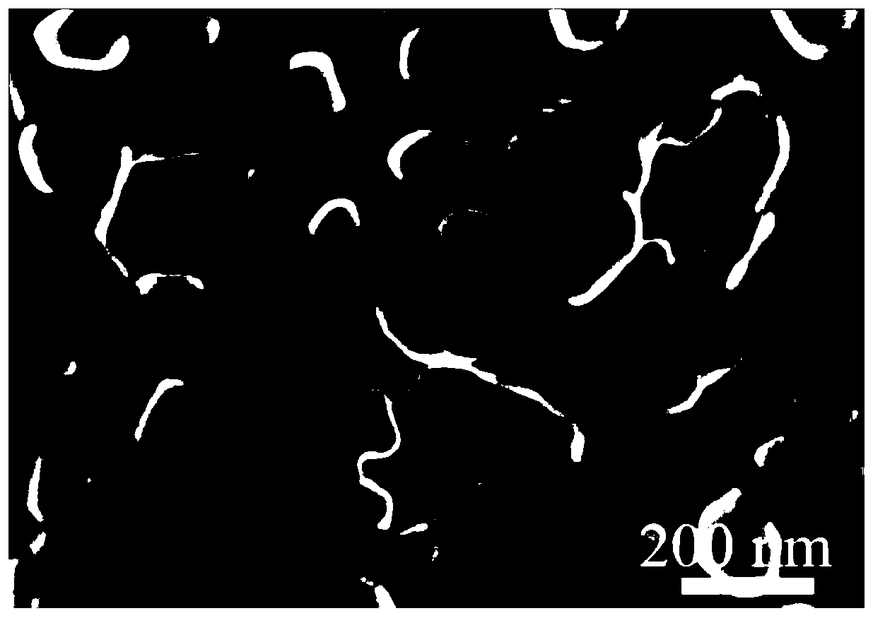 Plasma porous structure with hotspot structure and preparation method thereof