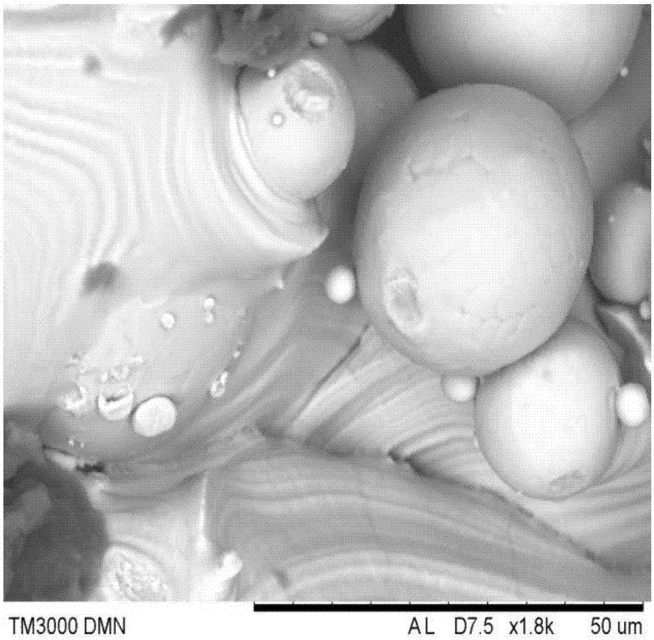 Method for preparing bone-like structure film layer on surface of titanium