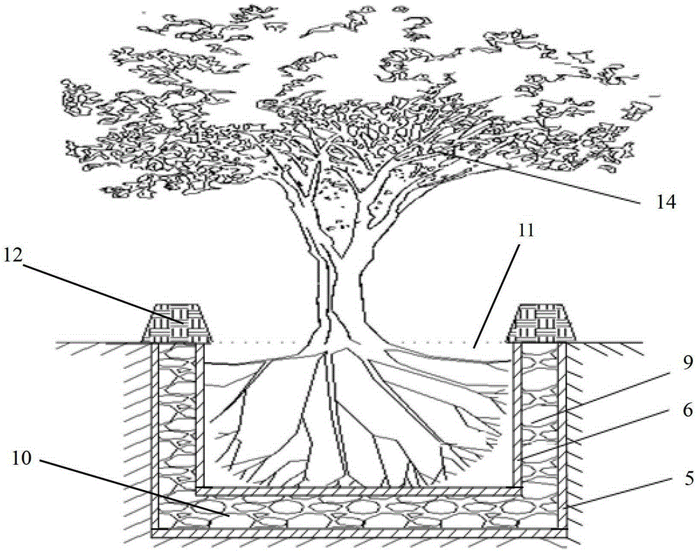 A method of afforestation on saline-alkali land