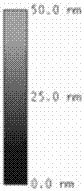 Preparation method of porous CaCu3Ti4O12 film