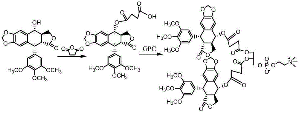 Podophyllotoxin phospholipid compound as well as pharmaceutical composition and application of podophyllotoxin phospholipid compound