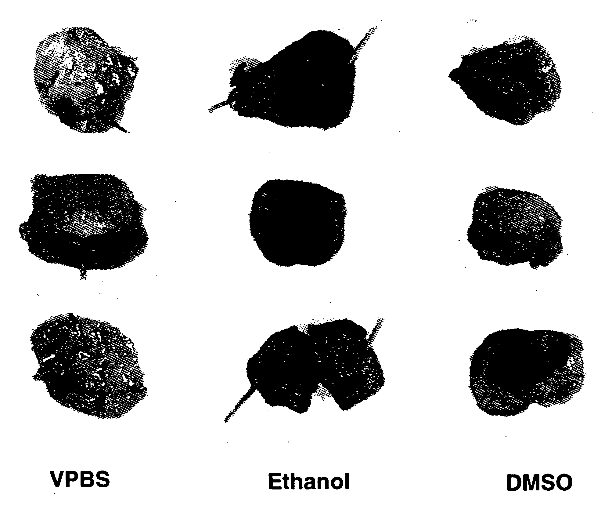 Compositions and methods for therapeutic use