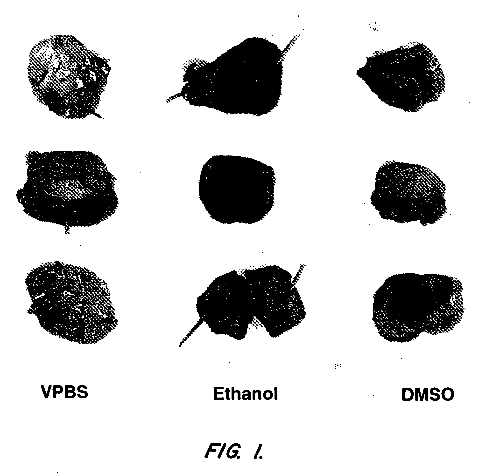 Compositions and methods for therapeutic use