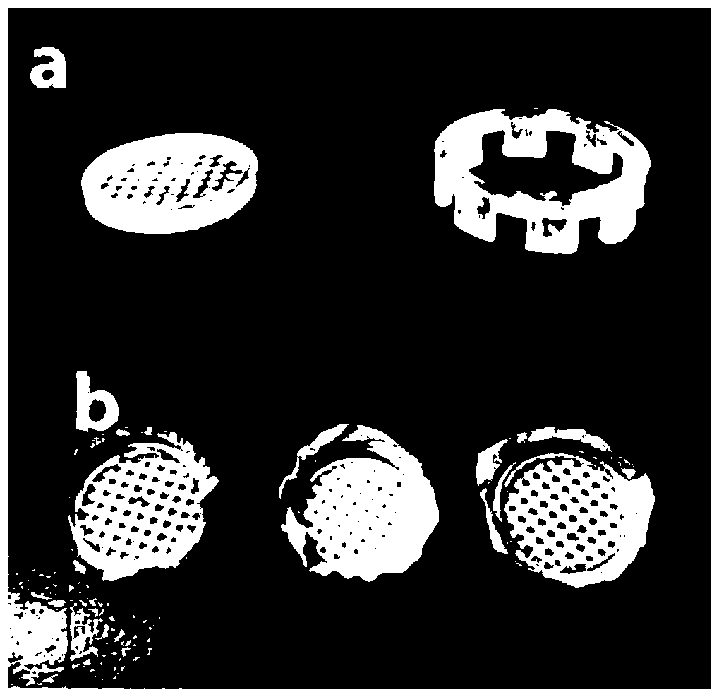 Three-dimensional culture method of tumor stem cells