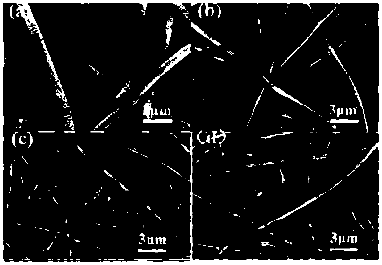 Three-dimensional culture method of tumor stem cells