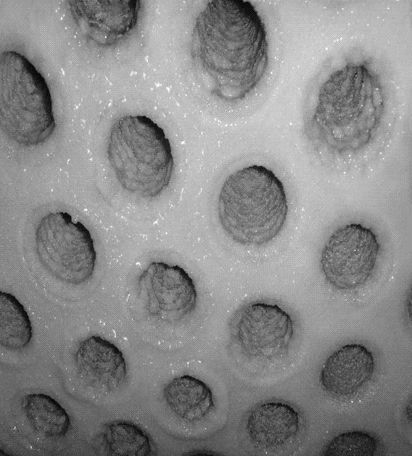 Chemical cleaning method for scales on tube of evaporator for producing ammonium sulfate