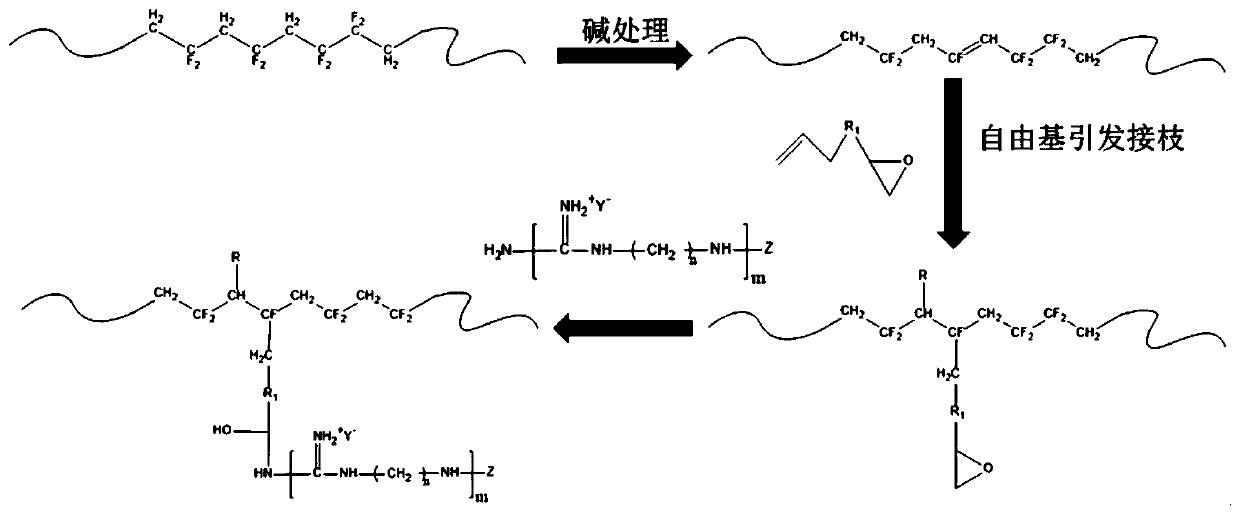 Guanidine salt antibacterial agent grafted modified polyvinylidene fluoride and preparation method thereof