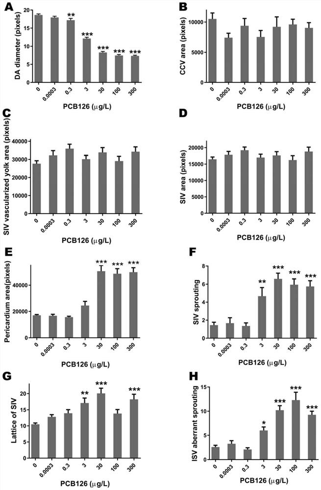 Application and detection method of dorsal aorta diameter in juvenile zebrafish as an effect marker in detecting PCB126 cardiovascular toxicity