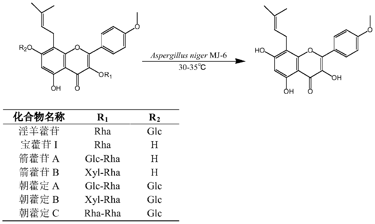 Aspergillus niger YH-6 and application thereof in increasing content of icaritin in Herba Epimedii