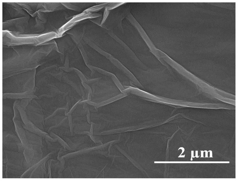 Magnetic reduced graphene oxide/silver tungstate composite photocatalyst as well as preparation method and application thereof