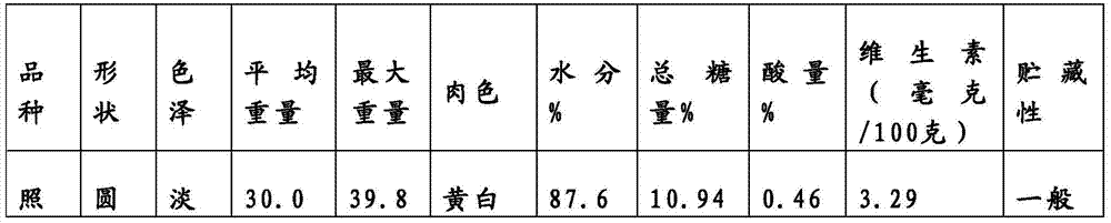 A kind of loquat fruit juice wine and production method thereof