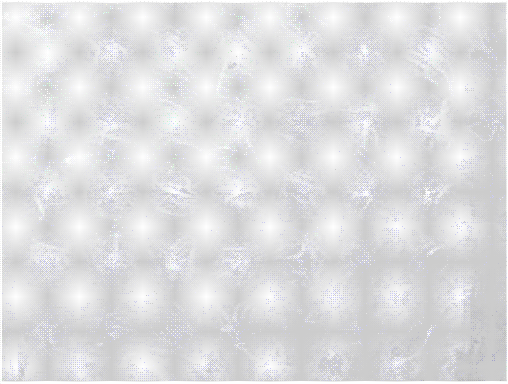 Preparation method for shaping paper used for cigarette filter tip rod