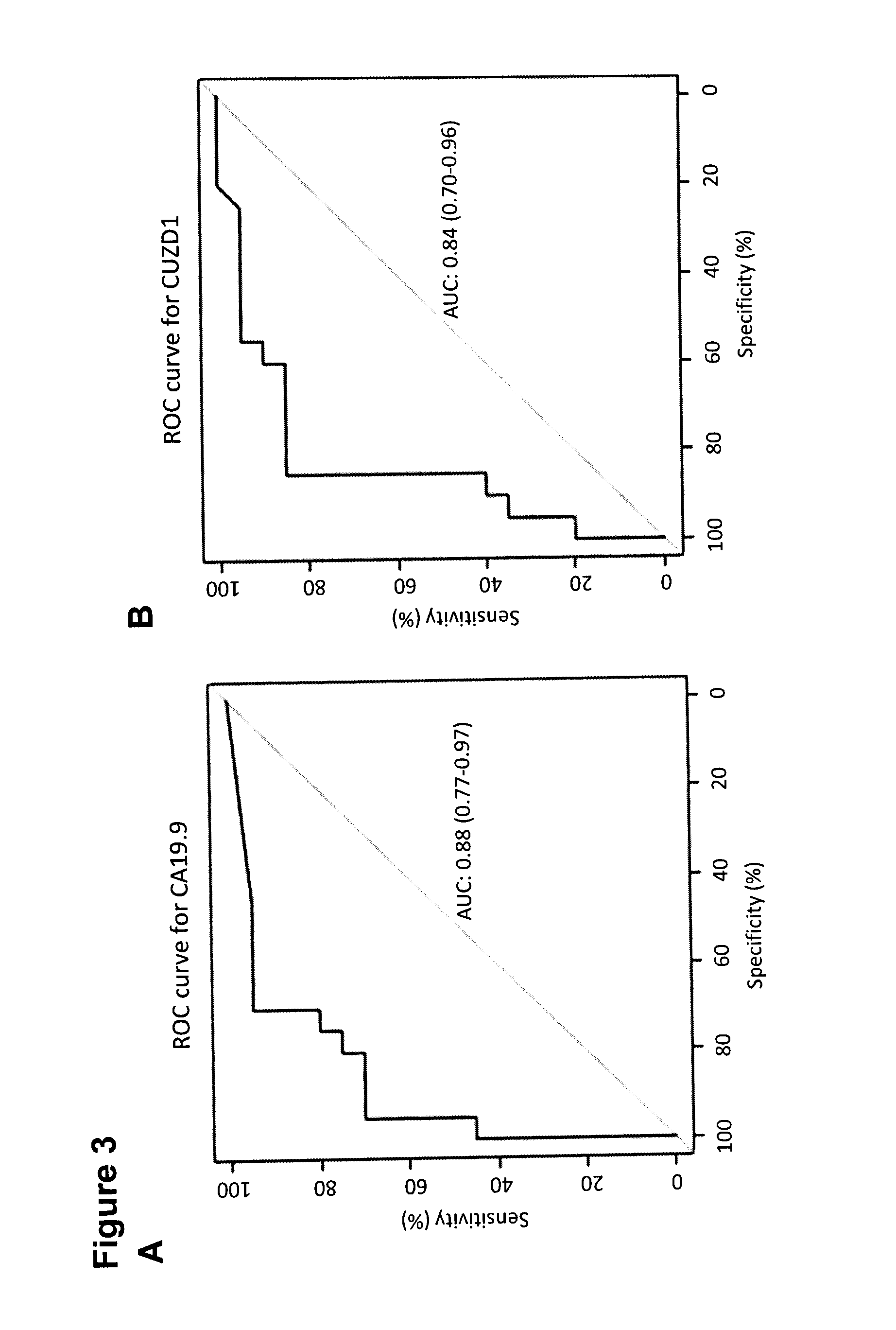 Cancer Biomarkers and Methods of Use