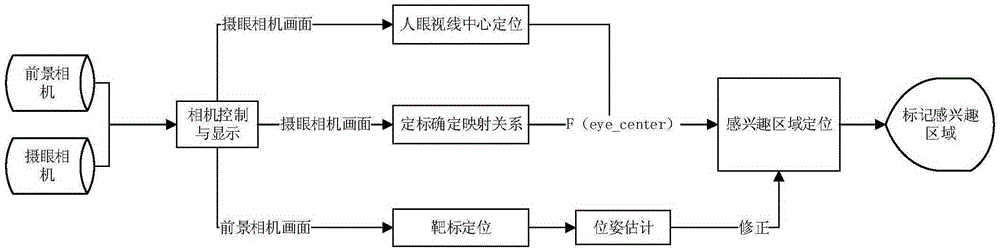 Sight tracking and human eye area-of-interest positioning system