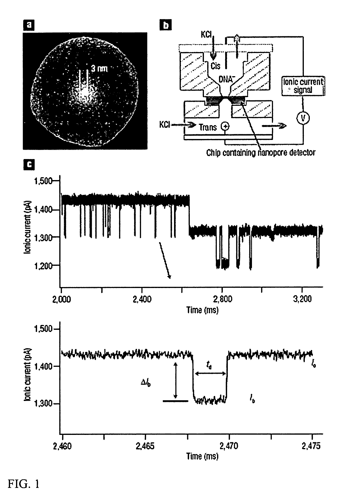 Study of polymer molecules and conformations with a nanopore