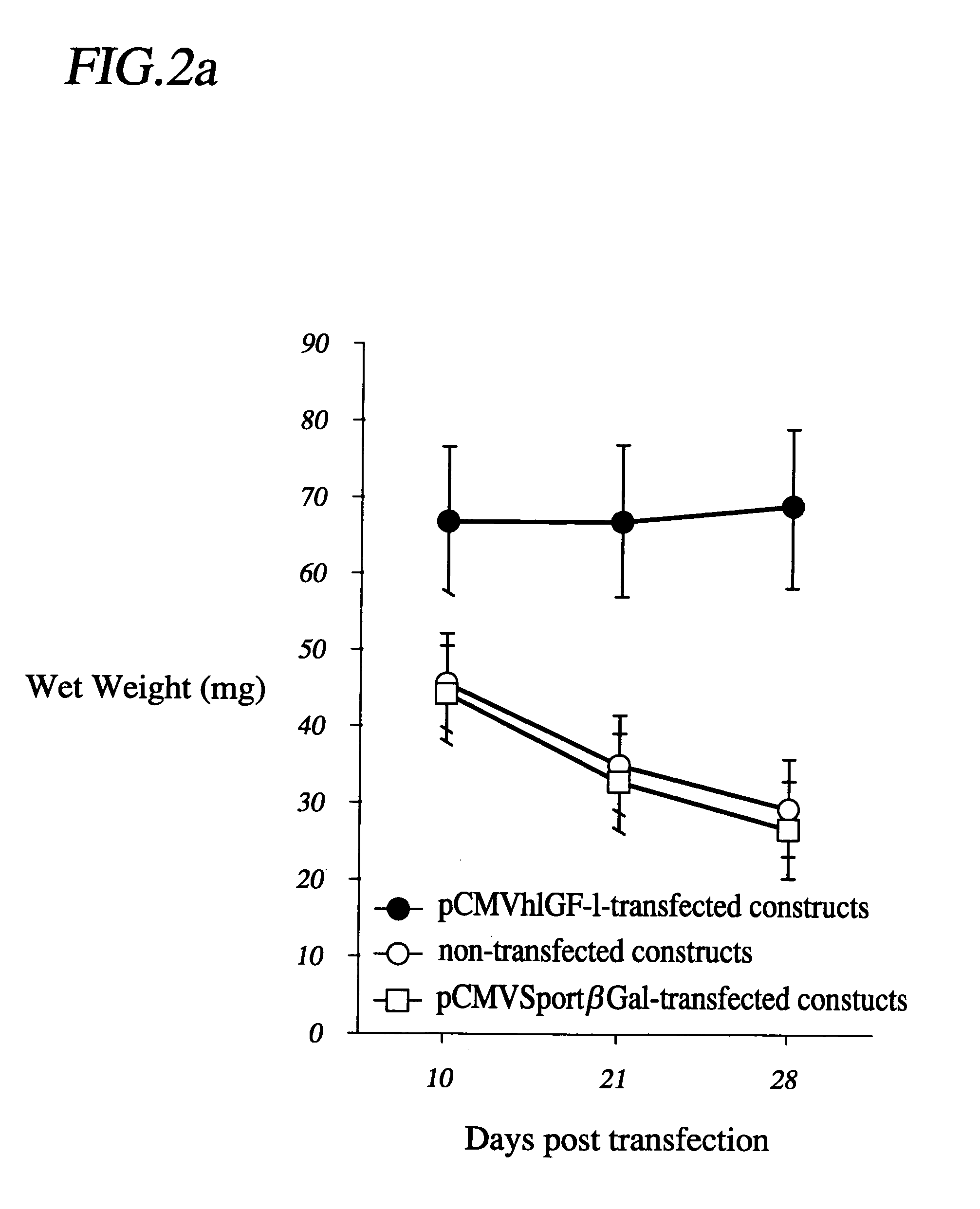 Tissue engineering enhanced by the transfer of a growth factor gene