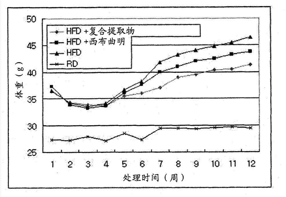 Pharmaceutical composition using herbal extract for prevention and treatment of obesity and metabolic disorders