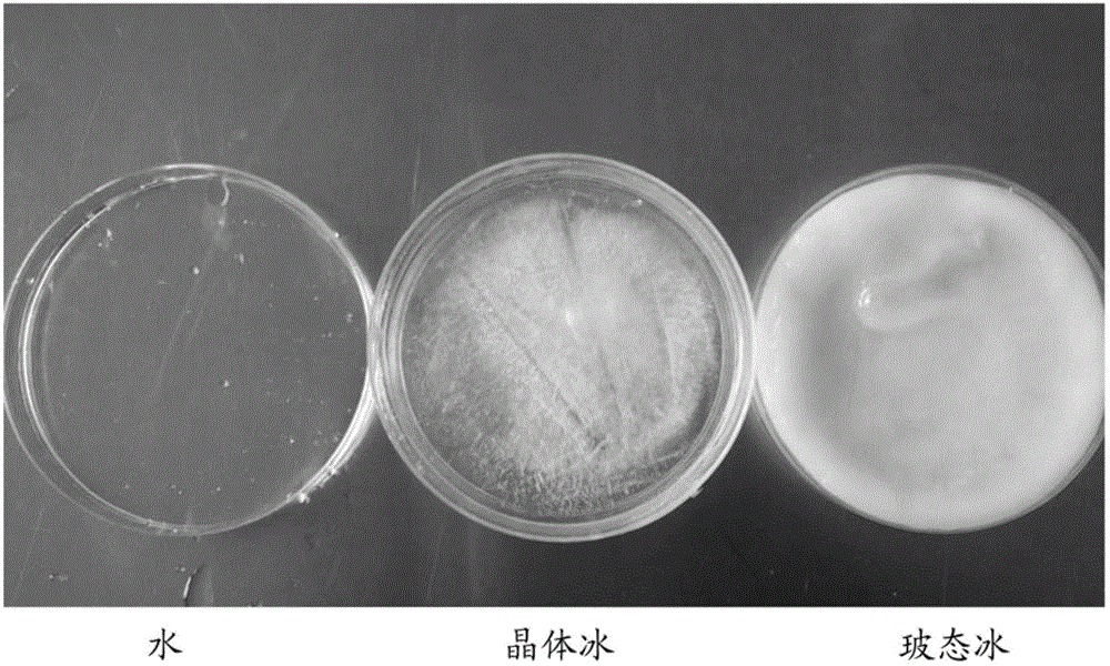 Dried fig product with high freshness preservation and preparation method thereof