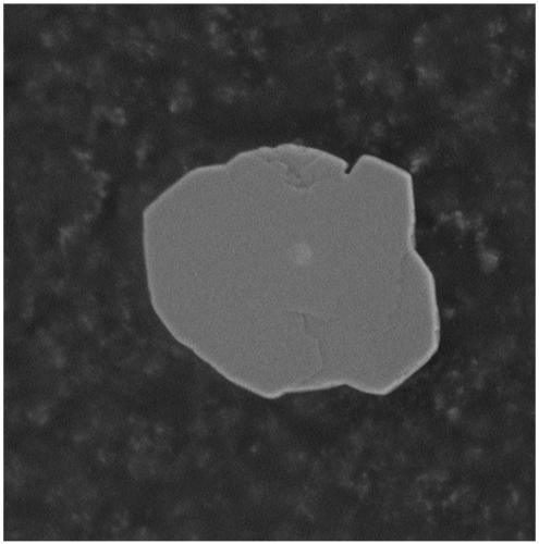 Preparation method of bionic shell structure ceramic and metal composite material