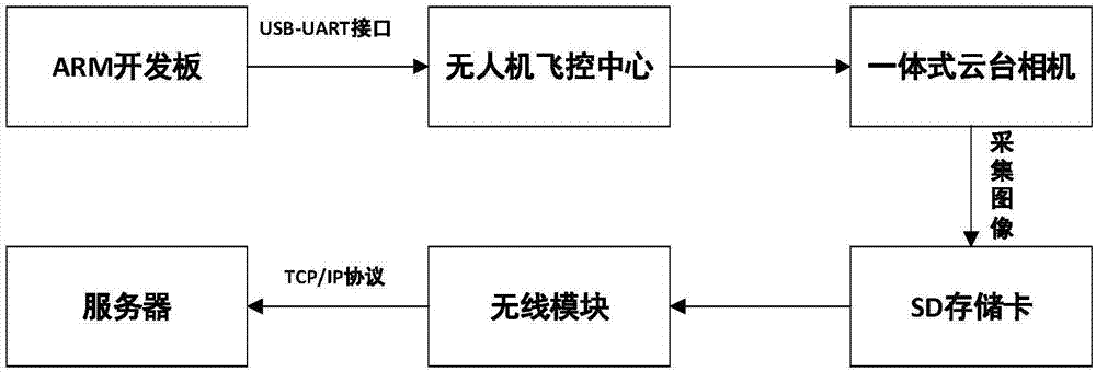 Plant pest and disease detection method based on multiple features and support vector machine