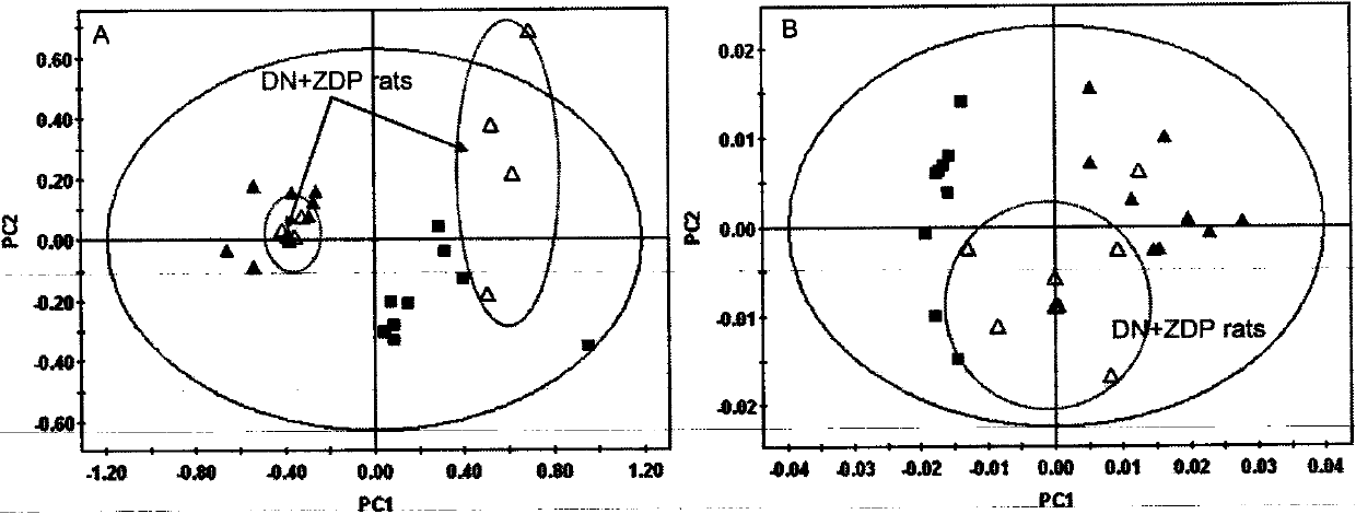 Method for testing curative effect of Chinese medicine Zhibai Dihuang pill based on application of metabonomics