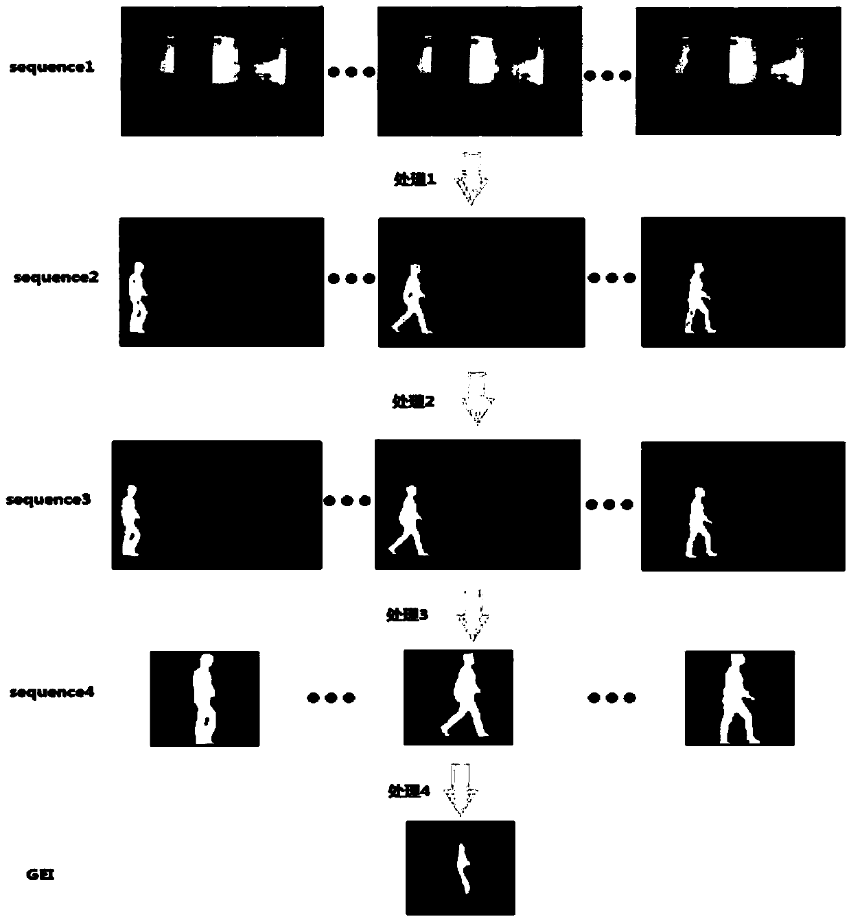 GEI and TripletLoss-DenseNet based gait recognition method