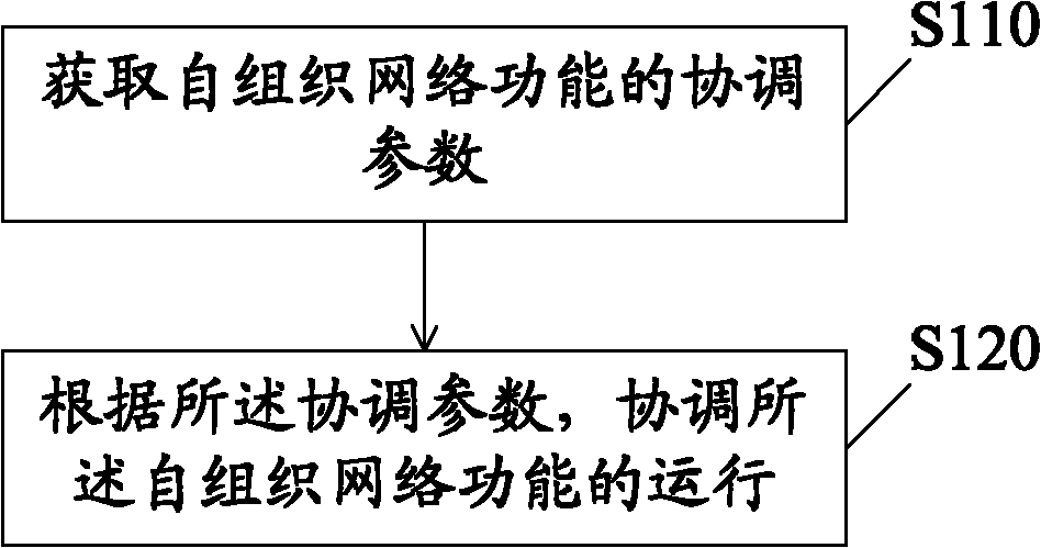 Self organizing network coordination method, device and system