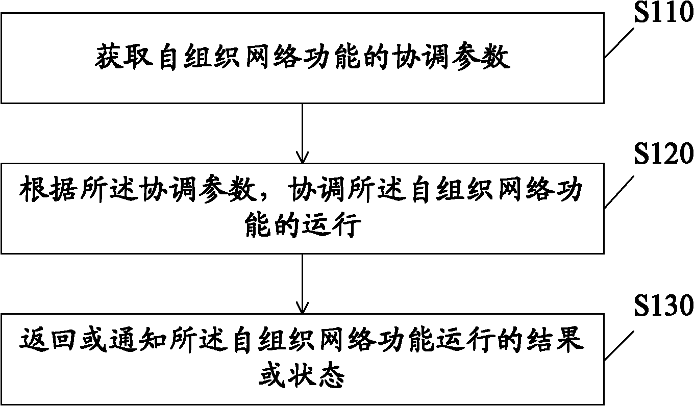 Self organizing network coordination method, device and system