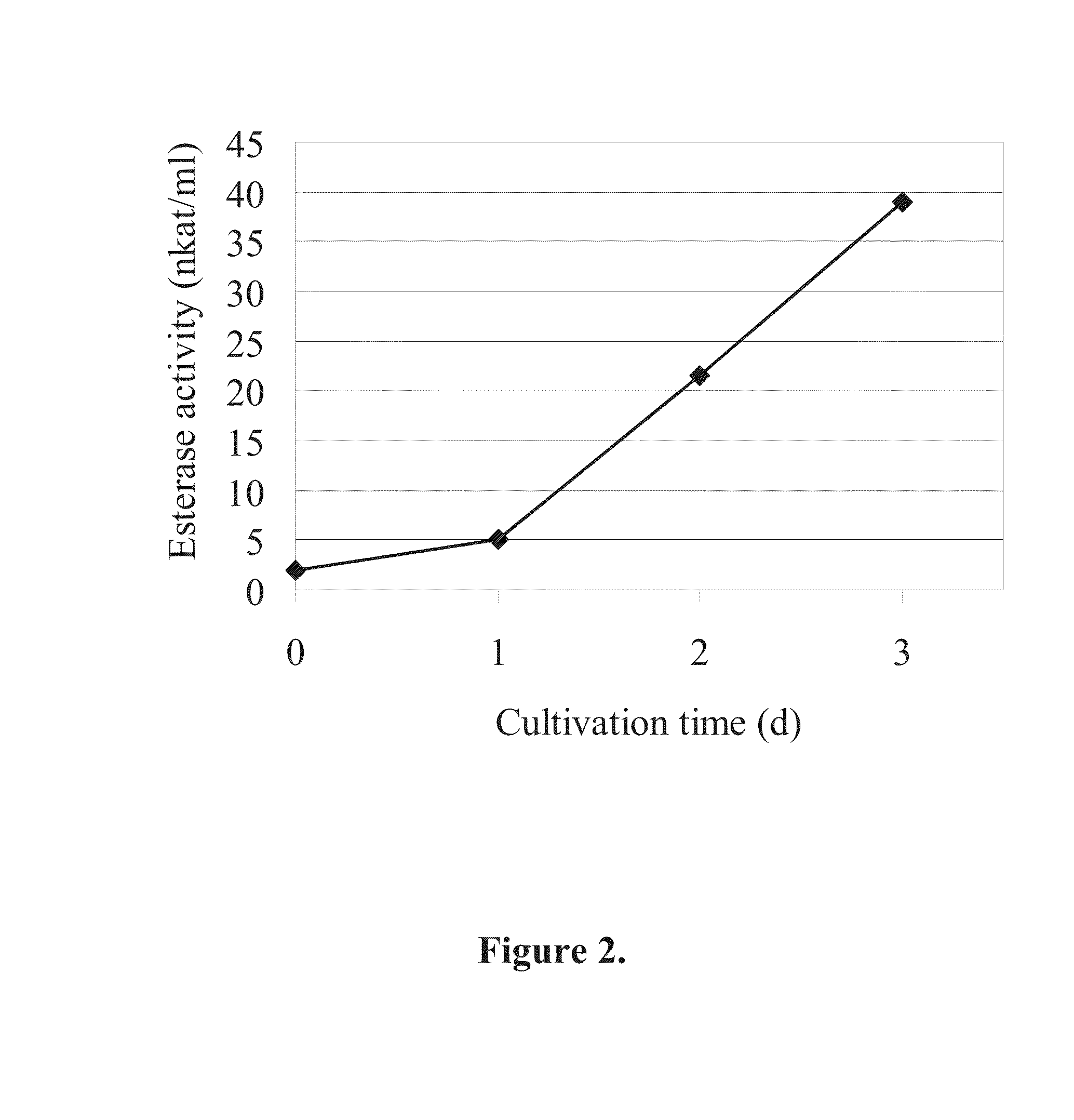 Novel cutinases, their production and uses