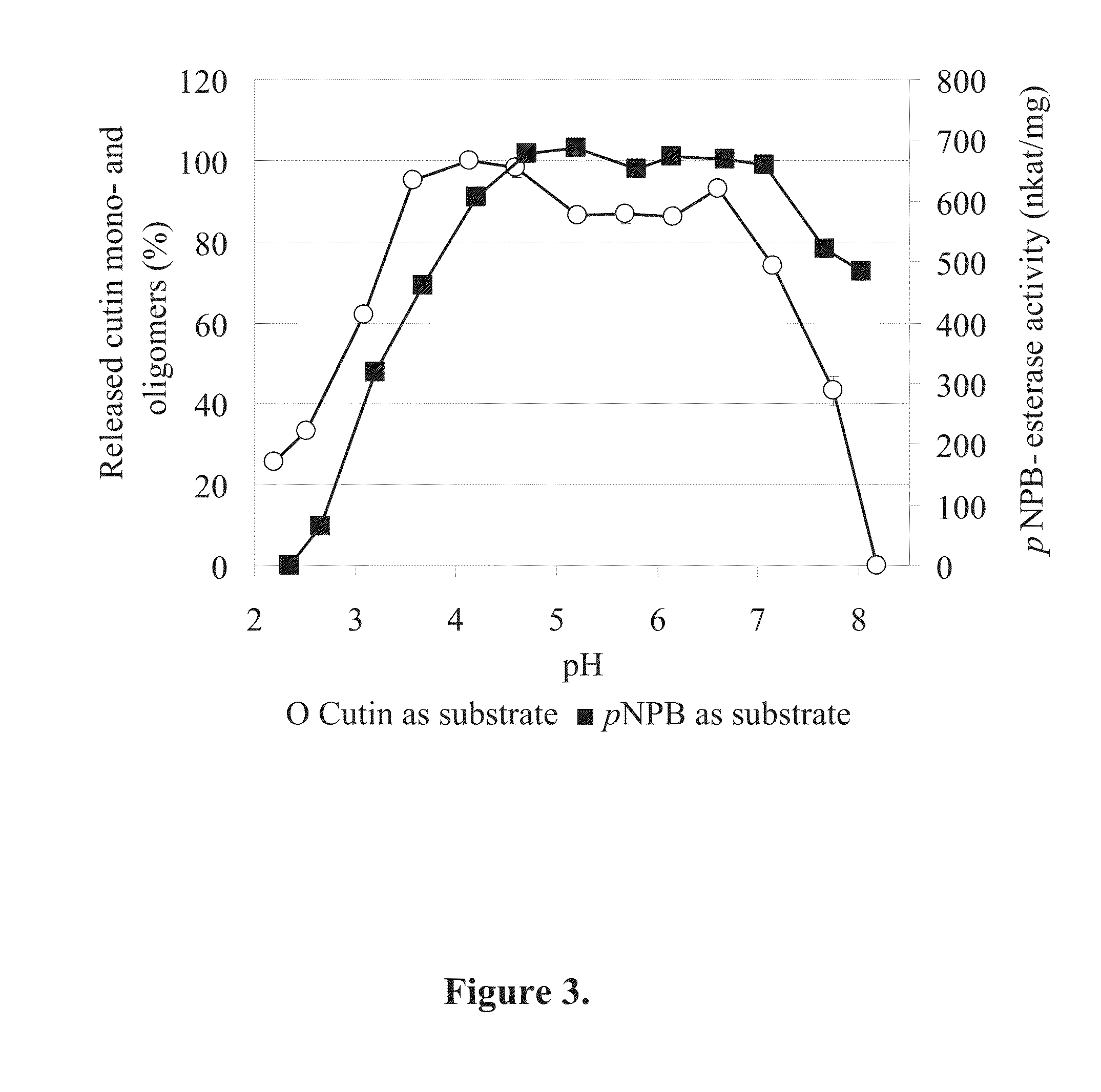 Novel cutinases, their production and uses