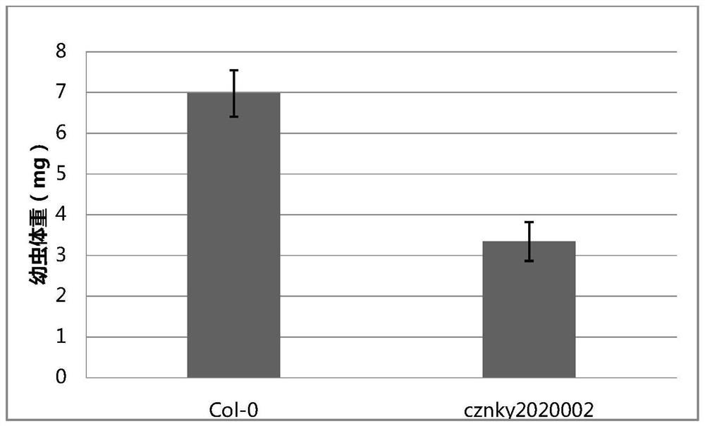 Plant endogenous gene influencing feeding of lepidoptera insects and protein of plant endogenous gene