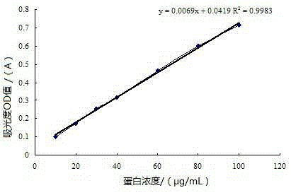 Antibacterial peptide plectasin film-forming agent and preparation method and application thereof