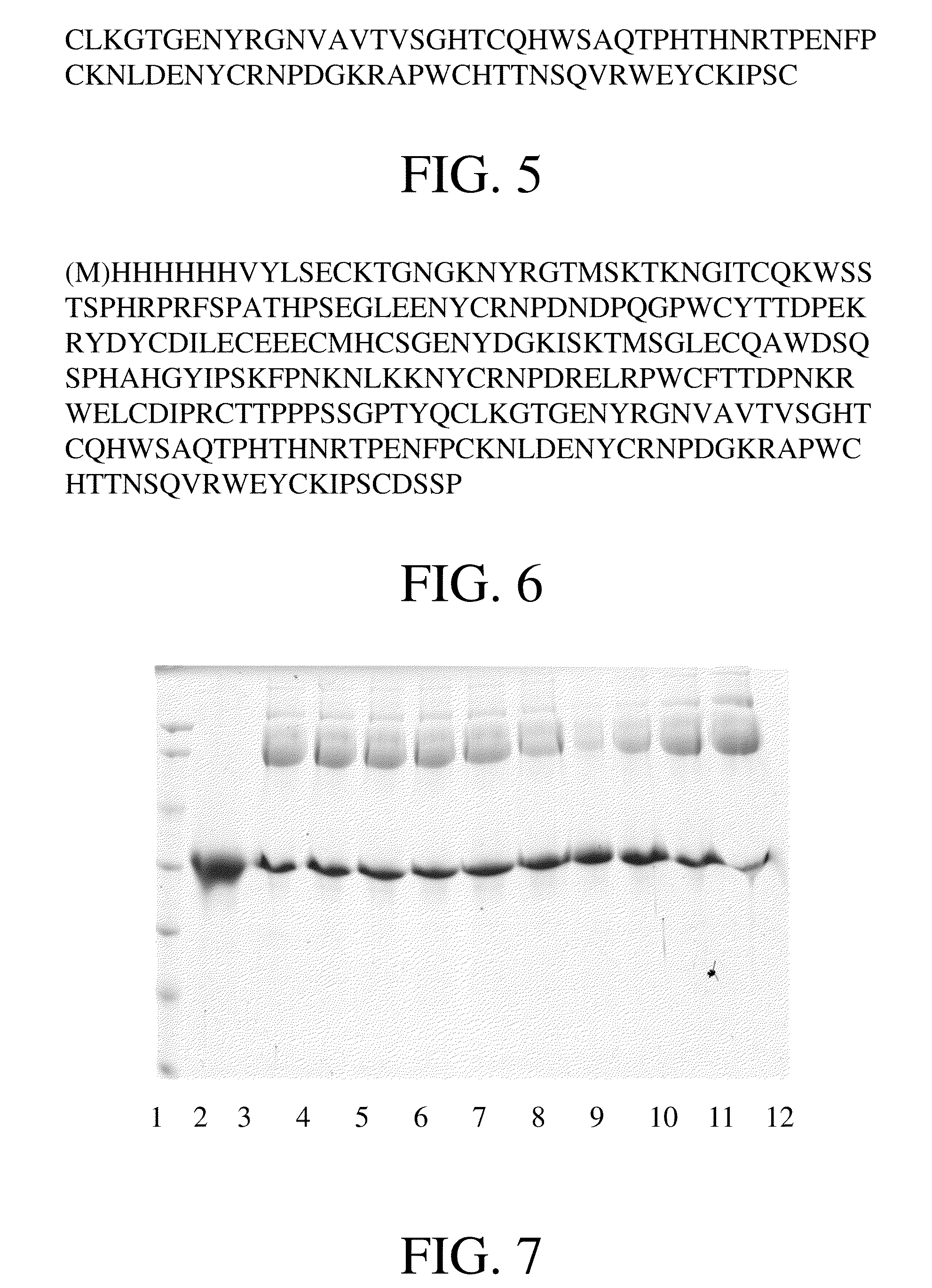 Conjugate comprising angiostation or its fragment, the method for producing the conjugate and use thereof