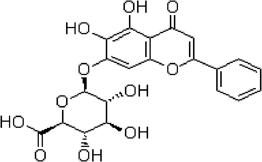 Application of baicalin in resisting and preventing bacterial infection