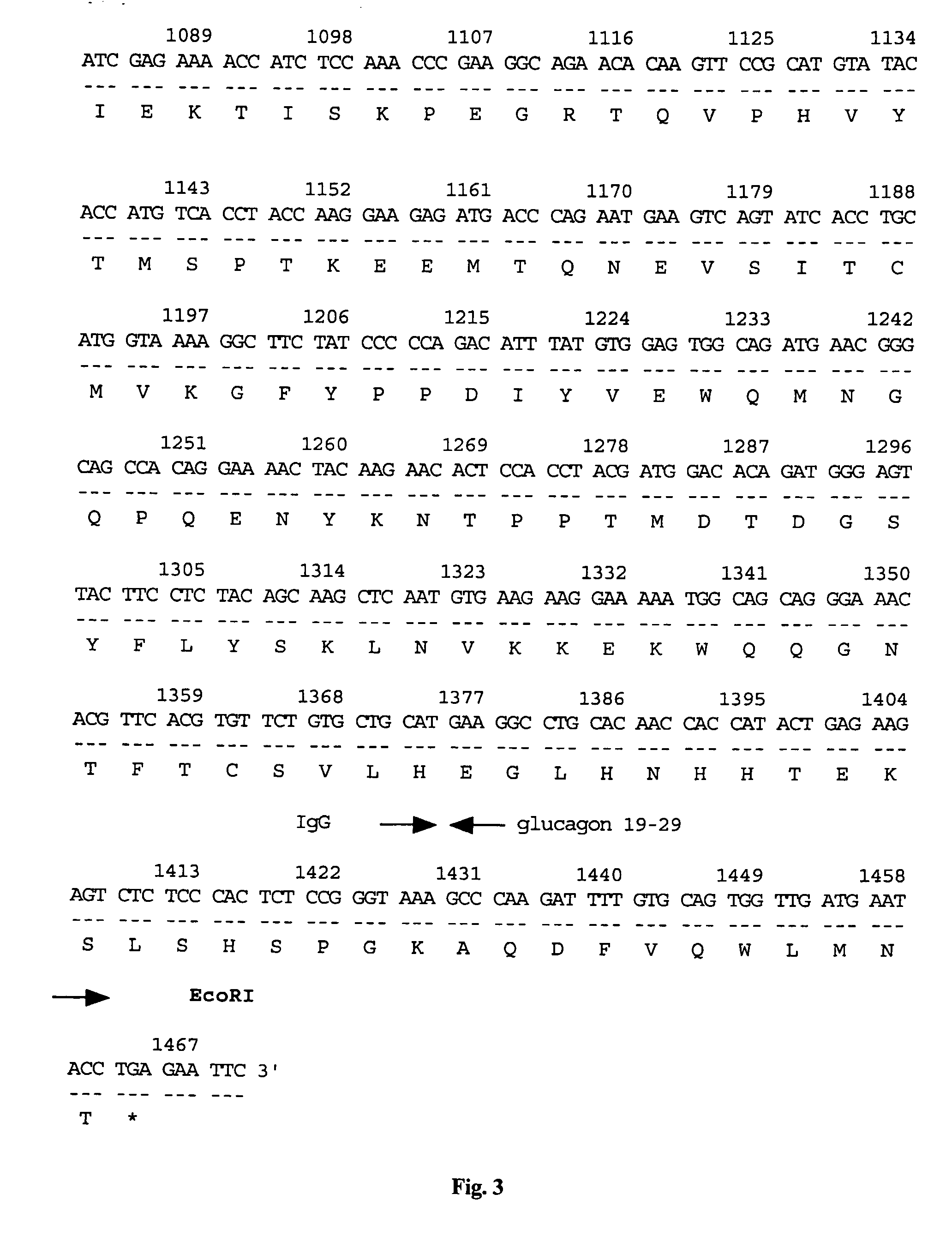 Vector for gene therapy and method of quantifying target protein in mammal or cultured cells with the administration of the vector for gene therapy