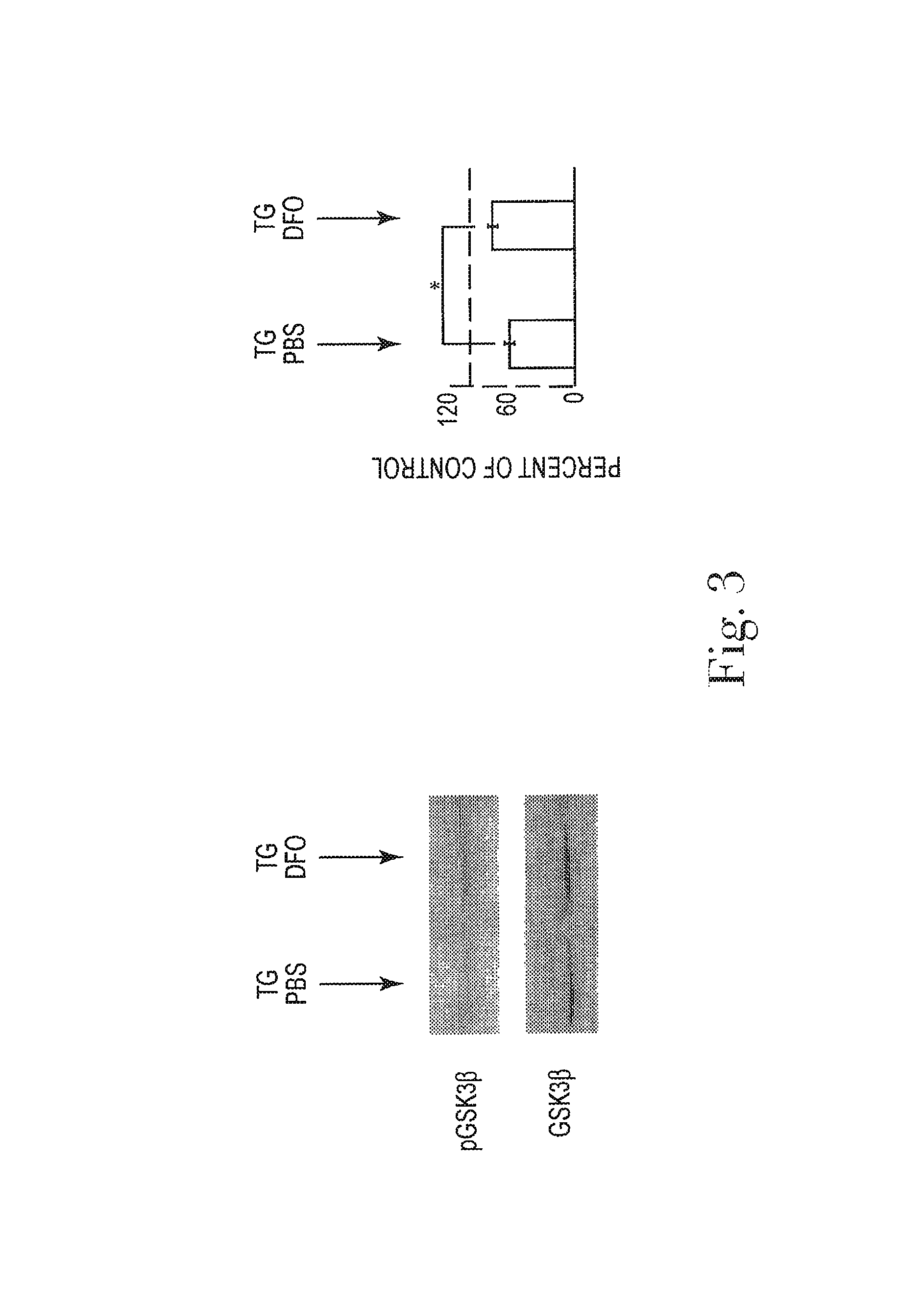 Methods and pharmaceutical compositions for treating the animal central nervous system for psychiatric disorders