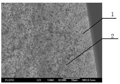 High-flux virus-removing polyvinylidene fluoride hollow fiber microporous membrane and preparation method thereof