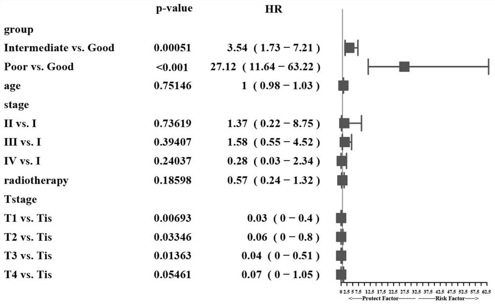 Cervical cancer prognostic marker microorganism and its application in the preparation of cervical cancer prognosis prediction and diagnosis products