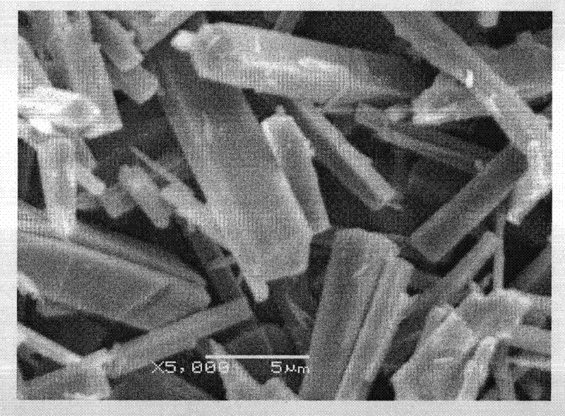 Method for recovering ferric oxide from red mud by leaching-photocatalysis by oxalic acid