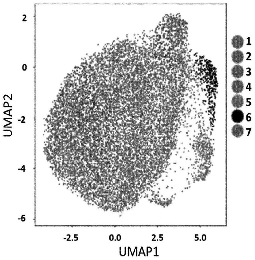 Single cell RNA sequencing