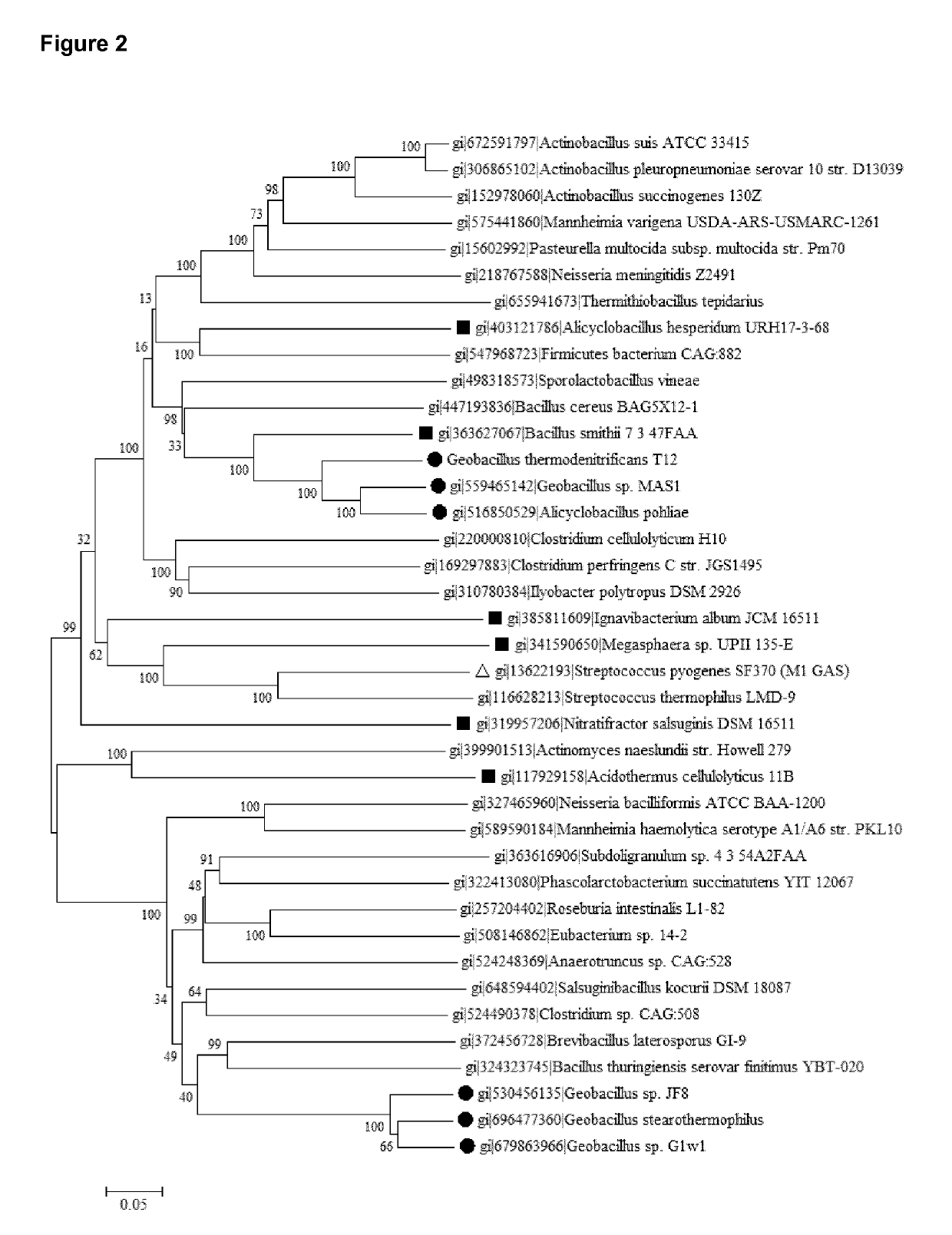 Thermostable cas9 nucleases