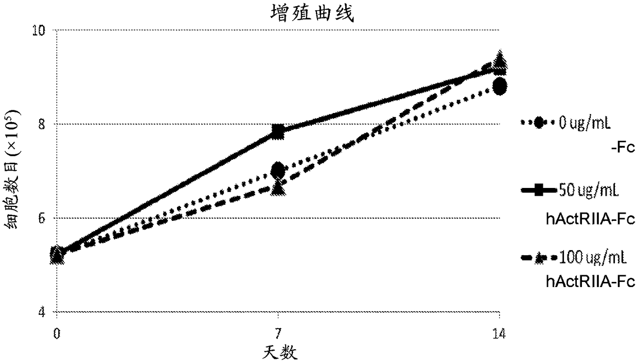 In vitro cell culture methods for beta-thalassemia using activin type ii receptor ligand traps