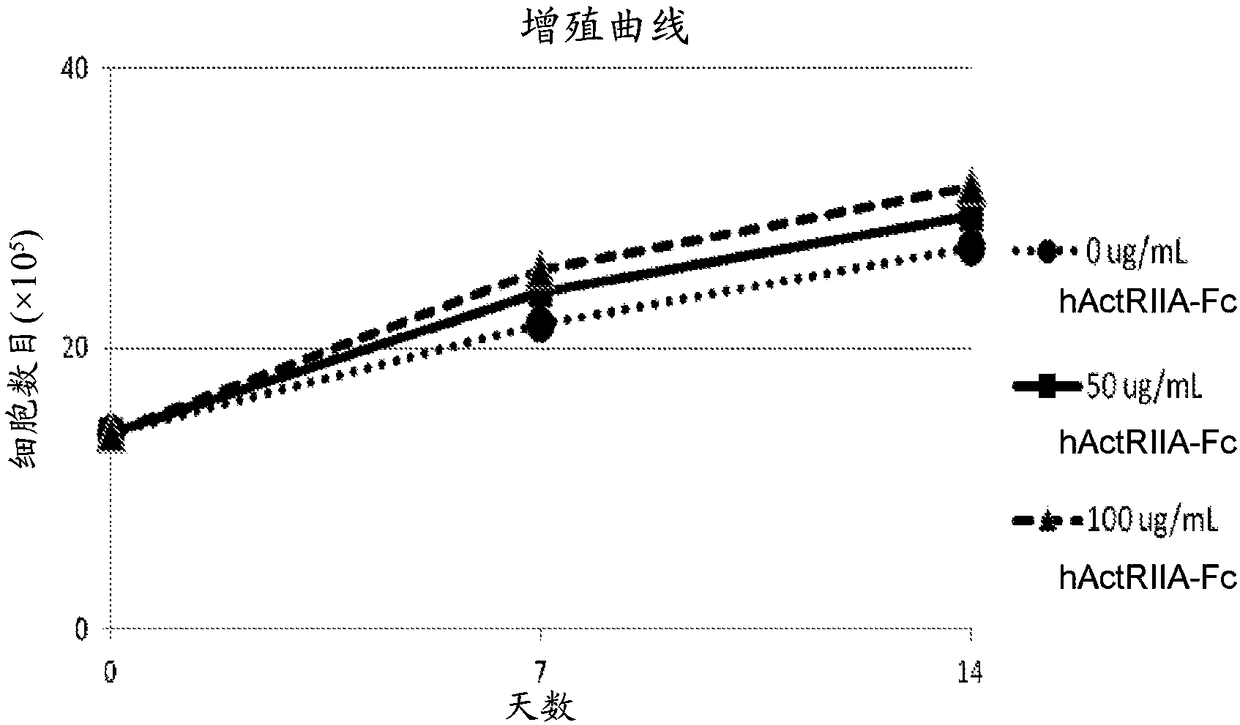 In vitro cell culture methods for beta-thalassemia using activin type ii receptor ligand traps