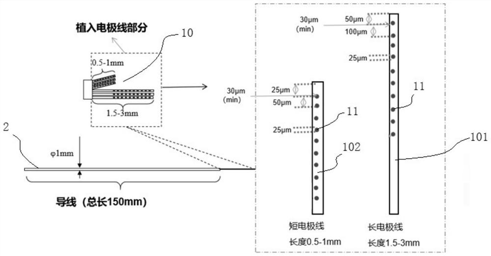 Quasi-neural electrode for accurate stimulation of cochlea nucleus