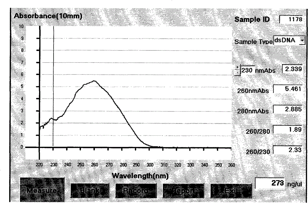 Method for detecting rs2295281 locus of hypertension susceptibility gene and detection kit