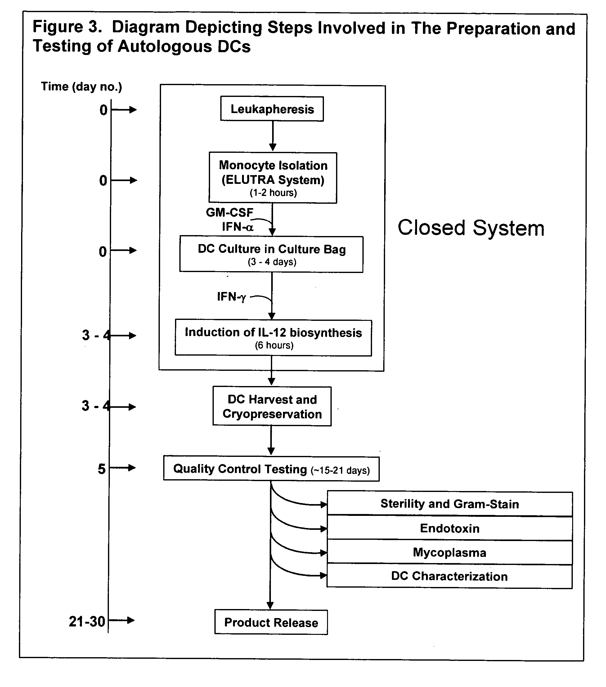 Methods for treating tumors and cancerous tissues