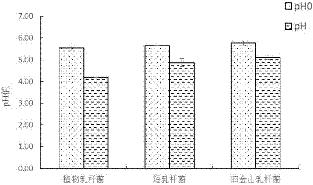 Lactobacillus brevis capable of improving fermented flavor of fermented dough steamed bun and application thereof